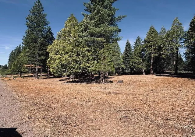 2nd image of 790 Red River Dr, Lake Almanor, CA 96137 | MLS# ML82041083