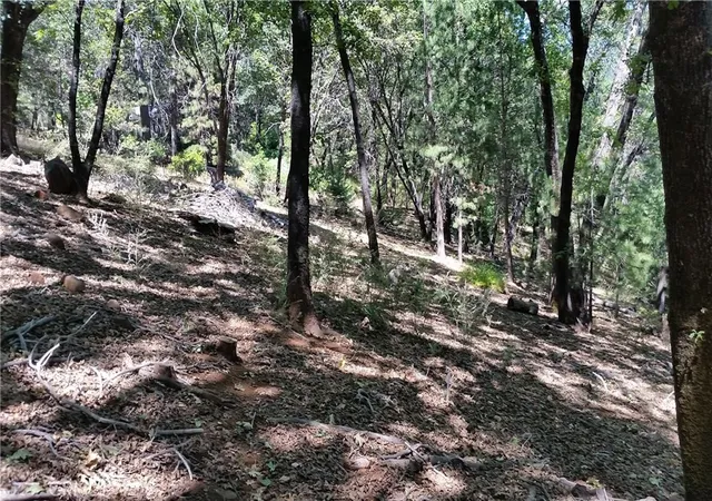 Photo 2 of Land for sale at 0 Adrian Dr, Magalia, CA 95954 | MLS# SN26069907 | Listing updated on 2026-05-06