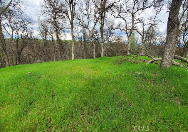 5th image of 15842 S Mendocino, Corning, CA 96021 | MLS# SN26070174