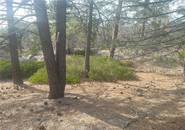 Photo 3 of Land for sale at 0 Hardy, Arrowbear, CA 92382 | MLS# OC26070476 | Listing updated on 2026-04-04