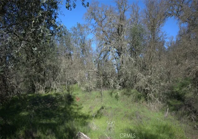 Photo 1 of Single family home for sale at 123 Rail Brg Rd, Oroville, CA 95966 | MLS# SN26043514 | Listing updated on 2026-04-03