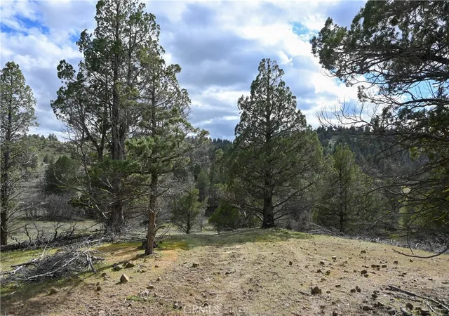 1st image of 0 Willit Way, Montague, CA 96064 | MLS# SN26070661