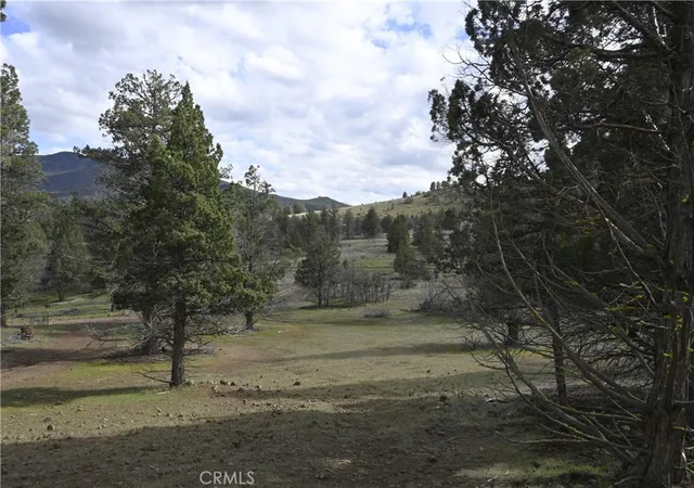 3rd image of 0 Willit Way, Montague, CA 96064 | MLS# SN26070661