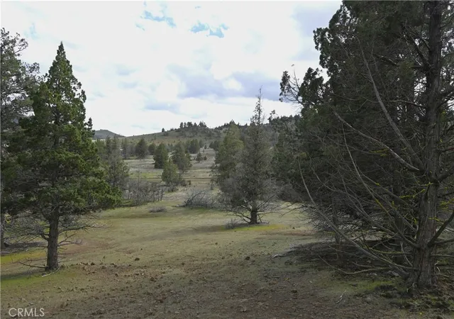 4th image of 0 Willit Way, Montague, CA 96064 | MLS# SN26070661