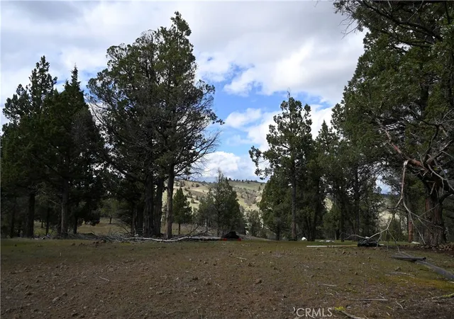 5th image of 0 Willit Way, Montague, CA 96064 | MLS# SN26070661