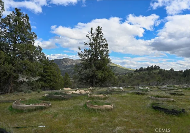 4th image of 0 Unit 5 Lot 121 Raven Ct, Montague, CA 96064 | MLS# SN26070678
