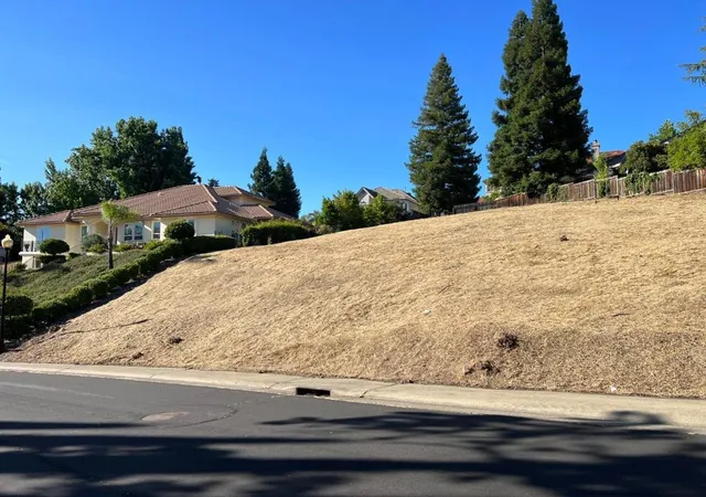 4th image of 102 Black Gold Ln, Folsom, CA 95630 | MLS# ML82041252