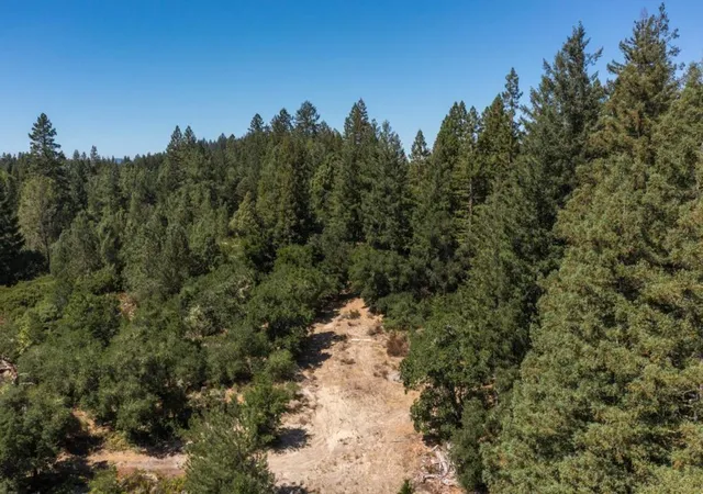 Homes for sale in Boulder Creek, CA | 225 Santa Cruz St, Boulder Creek, CA 95006 | MLS# ML82041255