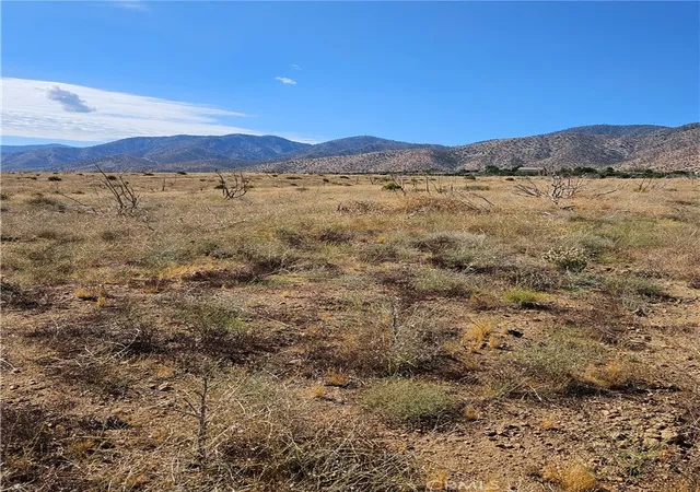 Photo 1 of Land for sale at 116 E Street, Juniper Hills, CA 93543 | MLS# SR26070929 | Listing updated on 2026-09-01