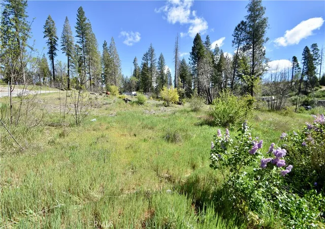 Homes for sale in Berry Creek, CA | 6 Sugar Pine, Berry Creek, CA 95916 | MLS# OR26071108