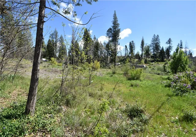Photo 3 of Land for sale at 6 Sugar Pine, Berry Creek, CA 95916 | MLS# OR26071108 | Listing updated on 2026-06-19