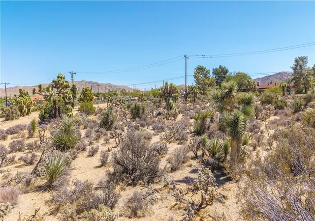 Homes for sale in Yucca Valley, CA | 58323 Lisbon Dr, Yucca Valley, CA 92284 | MLS# JT26071245