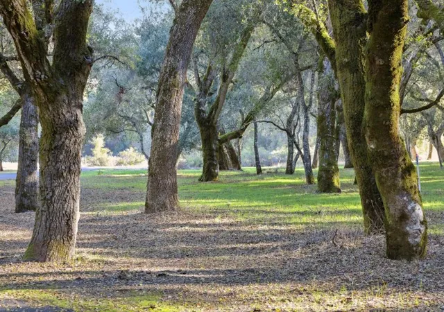 1st image of 11 Arroyo Sequoia, Carmel, CA 93923 | MLS# ML82041412