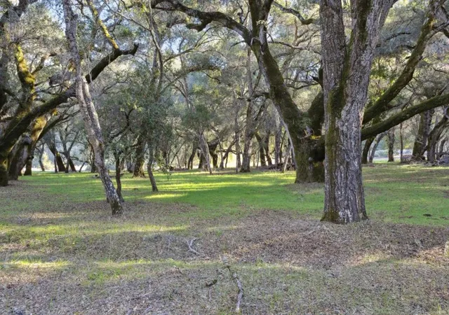 2nd image of 11 Arroyo Sequoia, Carmel, CA 93923 | MLS# ML82041412
