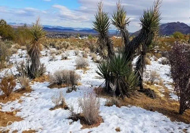 Homes for sale in 29 Palms, CA | 0 Desert Queen Ave, 29 Palms, CA 92277 | MLS# IG26071588