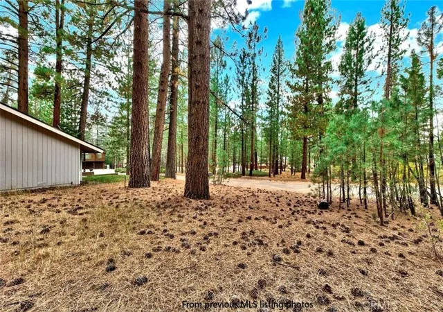 Homes for sale in South Lake Tahoe, CA | 1662 Maiden Hair Ct, South Lake Tahoe, CA 96150 | MLS# SW26071243