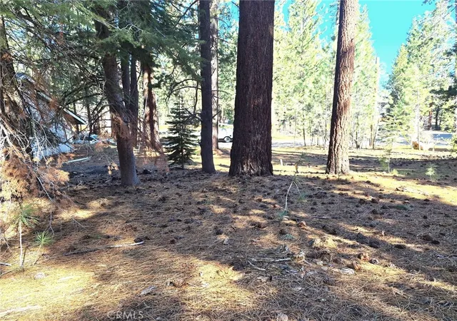 Homes for sale in South Lake Tahoe, CA | 1662 Maiden Hair Ct, South Lake Tahoe, CA 96150 | MLS# SW26071243