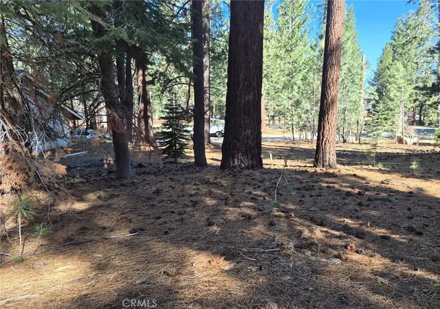 5th image of 1662 Maiden Hair Ct, South Lake Tahoe, CA 96150 | MLS# SW26071243