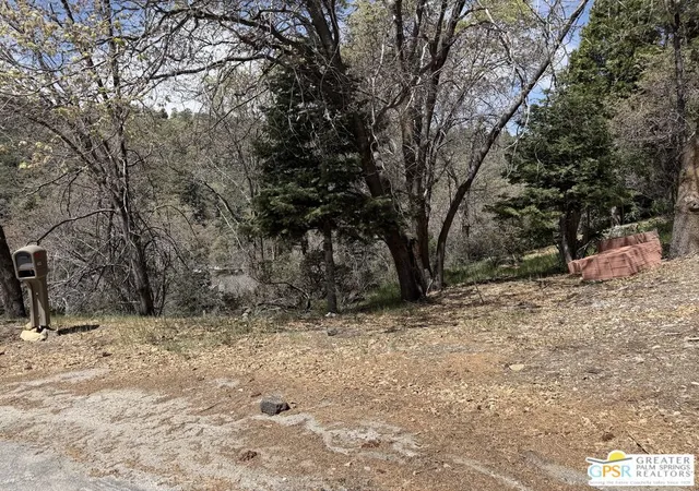 2nd image of 6032 Tripp Ln, Angelus Oaks, CA 92305 | MLS# 26673069PS