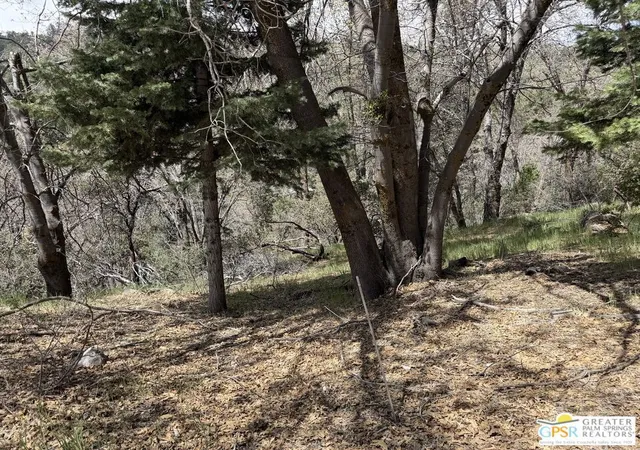 Photo 3 of Land for sale at 6032 Tripp Ln, Angelus Oaks, CA 92305 | MLS# 26673069PS | Listing updated on 2026-04-12