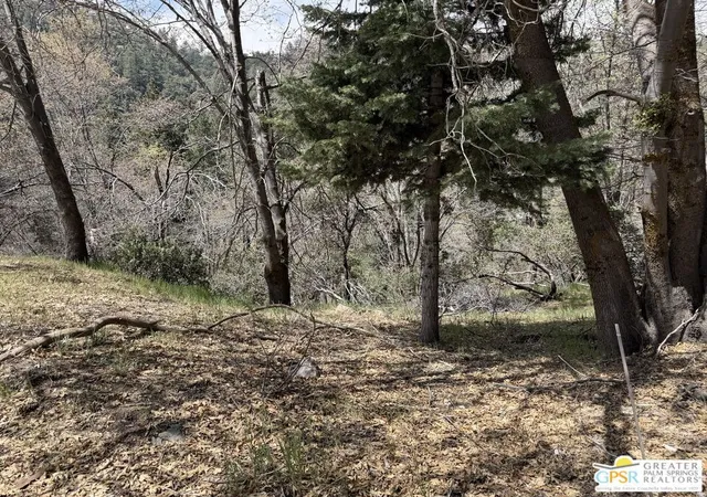 Photo 4 of Land for sale at 6032 Tripp Ln, Angelus Oaks, CA 92305 | MLS# 26673069PS | Listing updated on 2026-04-12