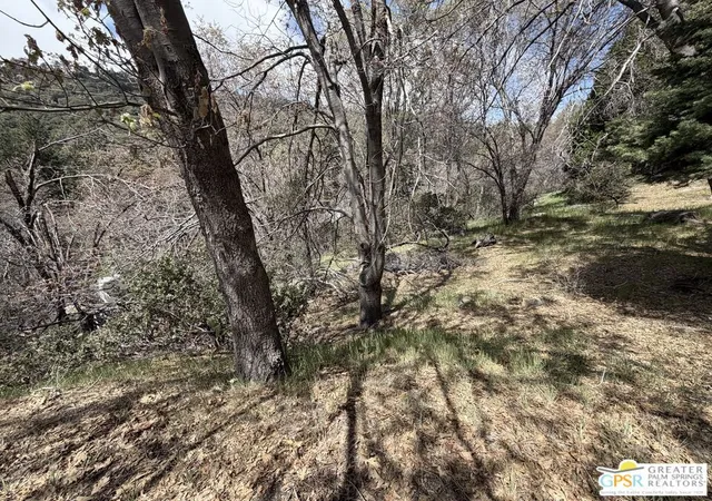 8th image of 6032 Tripp Ln, Angelus Oaks, CA 92305 | MLS# 26673069PS