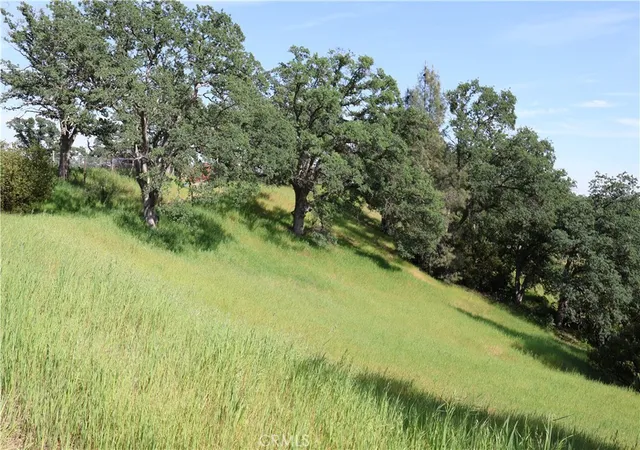 10th image of 7325 Bluebird Rd, Corning, CA 96021 | MLS# SN26071561