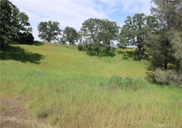 1st image of 7325 Bluebird Rd, Corning, CA 96021 | MLS# SN26071561