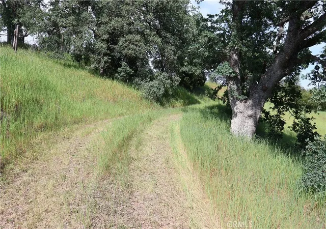 3rd image of 7325 Bluebird Rd, Corning, CA 96021 | MLS# SN26071561