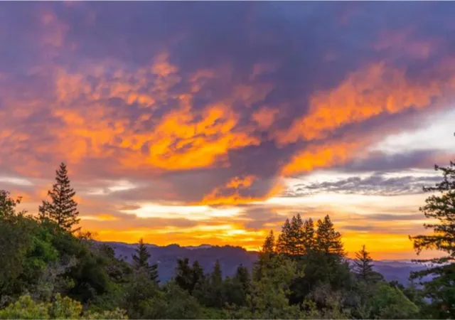 2nd image of Skyview Ridge Rd, Boulder Creek, CA 95006 | MLS# ML82041587