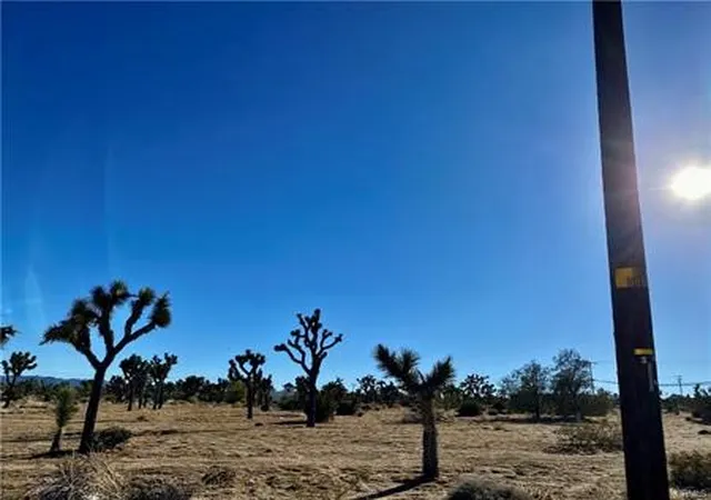 13th image of 57031 Buena Vista, Yucca Valley, CA 92284 | MLS# JT26071123