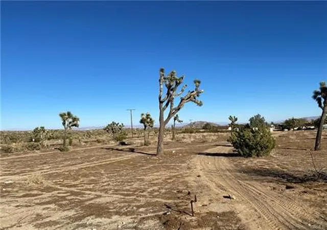 2nd image of 57031 Buena Vista, Yucca Valley, CA 92284 | MLS# JT26071123