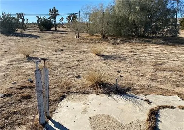 5th image of 57031 Buena Vista, Yucca Valley, CA 92284 | MLS# JT26071123