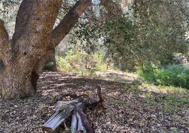 25th image of 6020 Lake, Angelus Oaks, CA 92305 | MLS# IG26071999