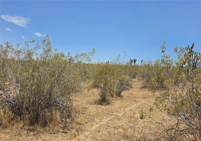 2nd image of 0 187th / Avenue W10, Llano, CA 93591 | MLS# SR26072626
