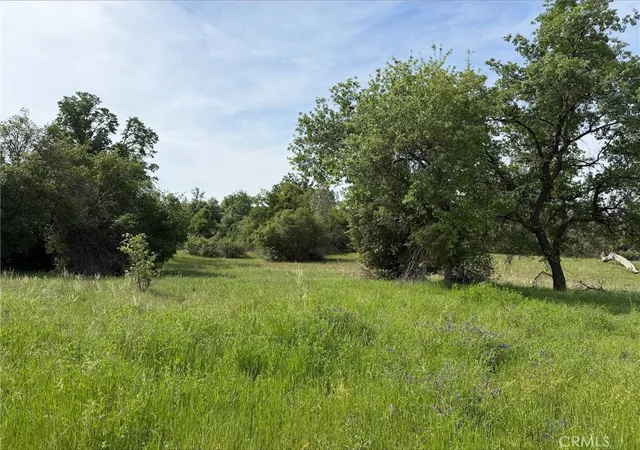 3rd image of 5 Mountain Springs Rd, North Fork, CA 93643 | MLS# FR26072643