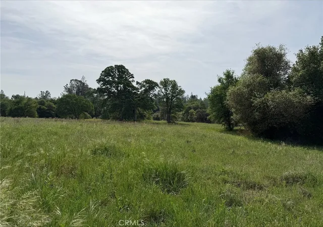 4th image of 5 Mountain Springs Rd, North Fork, CA 93643 | MLS# FR26072643