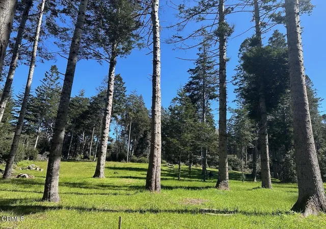 Homes for sale in Fort Bragg, CA | 26555 Hwy 1, Fort Bragg, CA 95437 | MLS# C1-11327