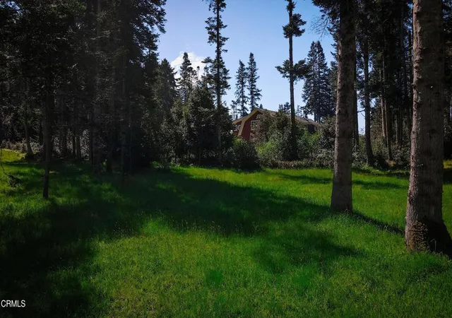 Homes for sale in Fort Bragg, CA | 26555 Hwy 1, Fort Bragg, CA 95437 | MLS# C1-11327