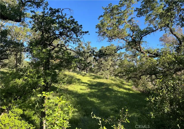 1st image of 0 Rolling Oaks, Bangor, CA 95901 | MLS# PA26072861