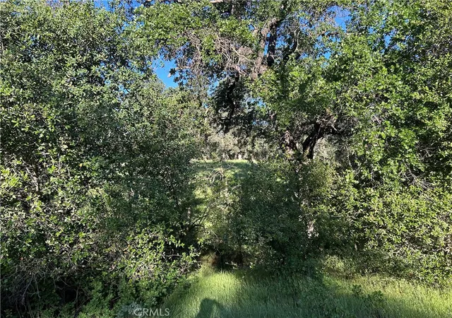 4th image of 0 Rolling Oaks, Bangor, CA 95901 | MLS# PA26072861