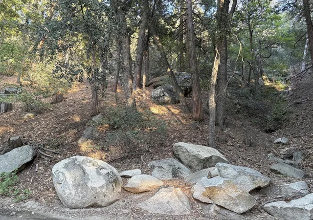 1st image of 0 Tahquitz View Dr, Idyllwild, CA 92549 | MLS# 219145881DA