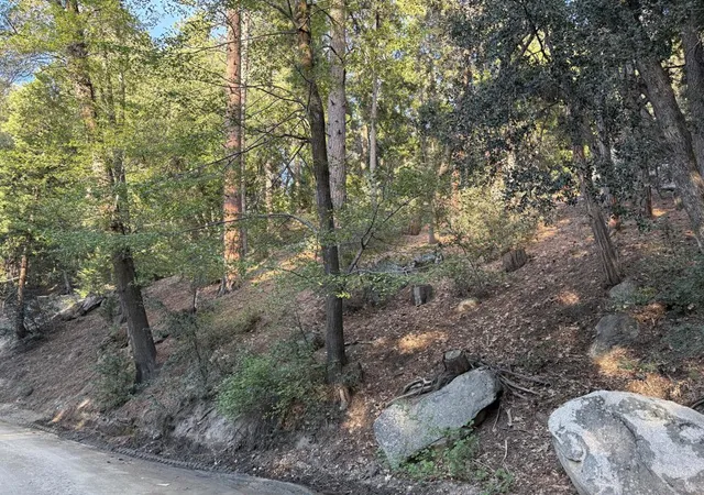 2nd image of 0 Tahquitz View Dr, Idyllwild, CA 92549 | MLS# 219145881DA
