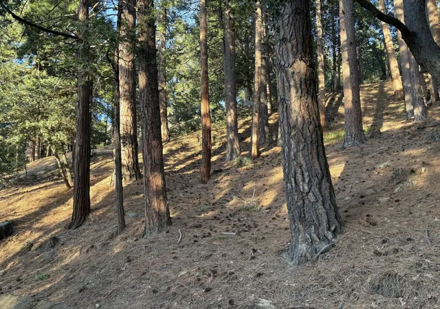 Photo 3 of Land for sale at 0 Tahquitz View Dr, Idyllwild, CA 92549 | MLS# 219145881DA | Listing updated on 2026-09-07