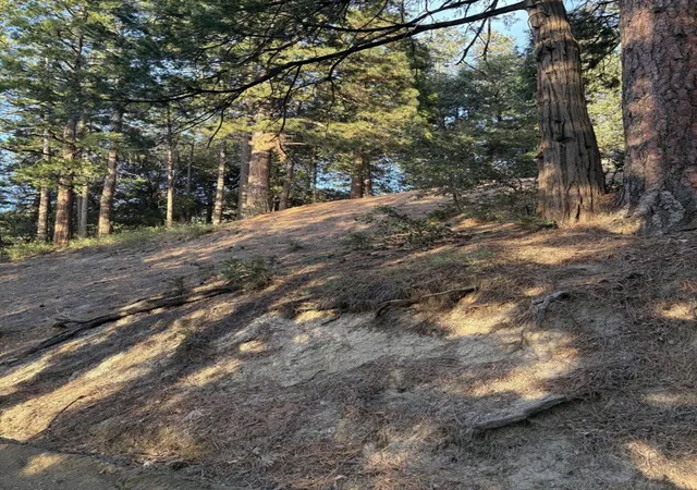 6th image of 0 Tahquitz View Dr, Idyllwild, CA 92549 | MLS# 219145881DA