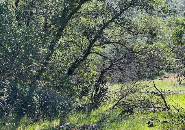 Photo 2 of Sale Pending at 0 Rocky Top Rd, Oroville, CA 95965 | MLS# V1-35599 | Listing updated on 2026-04-08