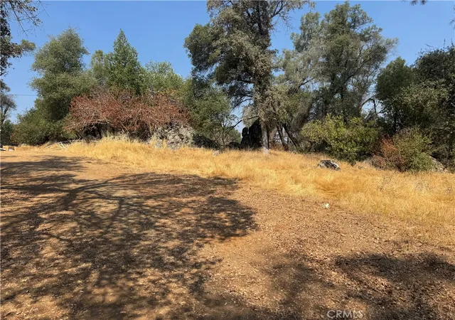 Homes for sale in Mariposa, CA | 5393 Schafer Rd, Mariposa, CA 95338 | MLS# MP26073317