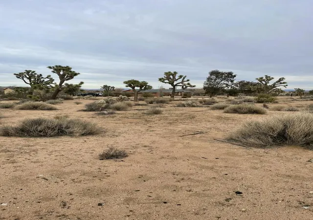 26th image of 58383 Beaver Tail Ln, Yucca Valley, CA 92284 | MLS# 219145913DA