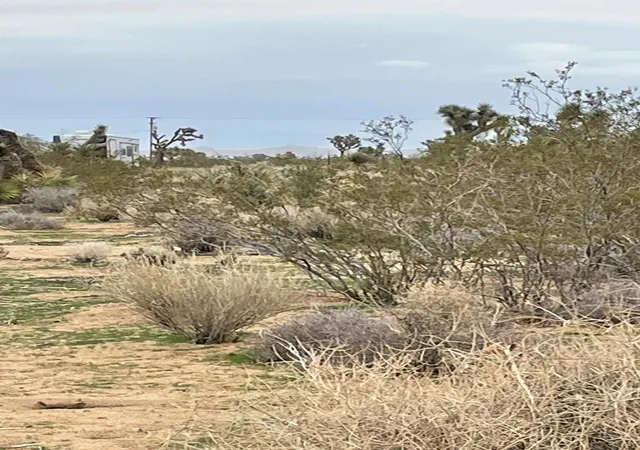 2nd image of 58383 Beaver Tail Ln, Yucca Valley, CA 92284 | MLS# 219145913DA