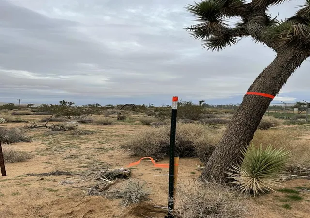 Photo 3 of Land for sale at 58383 Beaver Tail Ln, Yucca Valley, CA 92284 | MLS# 219145913DA | Listing updated on 2026-04-06